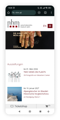 Alter Checkout – Ausstellungsseite