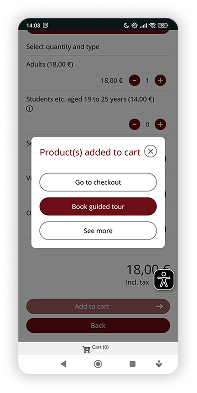 Alter Checkout – Zahlungsdetails