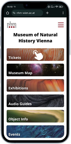 Startbildschirm der Museum-Website