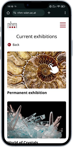 Aktuelle Ausstellungen